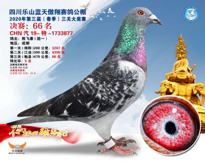 蓝天傲翔决赛66名