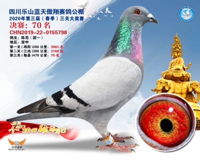 蓝天傲翔决赛70名