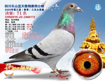 蓝天傲翔决赛71名