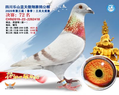 蓝天傲翔决赛72名