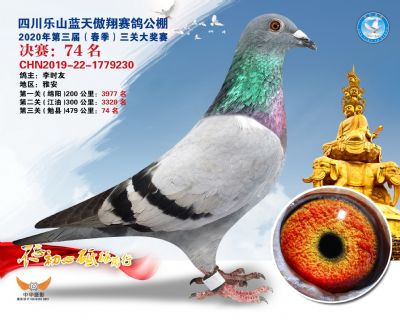 蓝天傲翔决赛74名