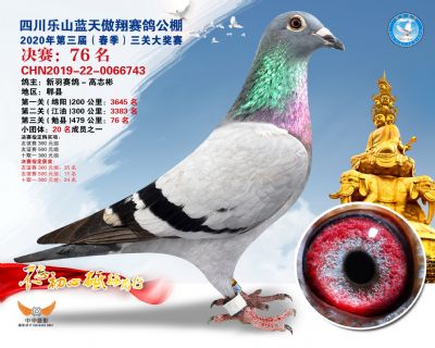 蓝天傲翔决赛76名