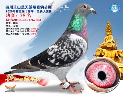 蓝天傲翔决赛78名