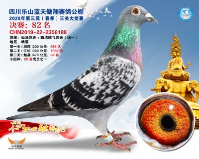 蓝天傲翔决赛82名