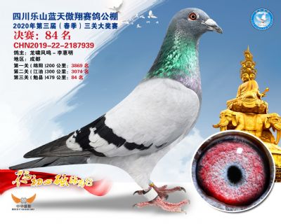 蓝天傲翔决赛84名