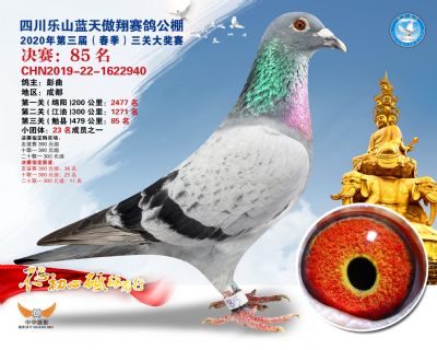 蓝天傲翔决赛85名