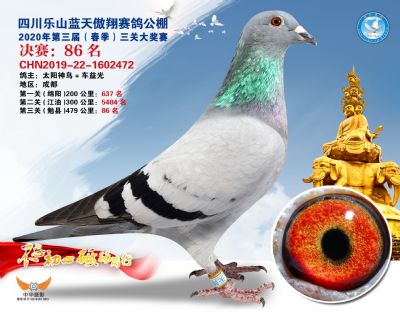 蓝天傲翔决赛86名