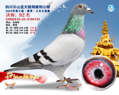 蓝天傲翔决赛92名