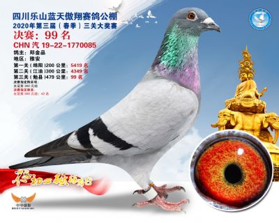 蓝天傲翔决赛99名