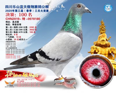 蓝天傲翔决赛100名