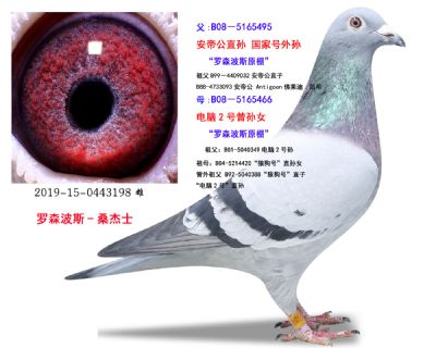 罗森波斯-桑杰士