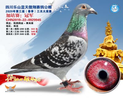 藍天傲翔加站賽冠軍