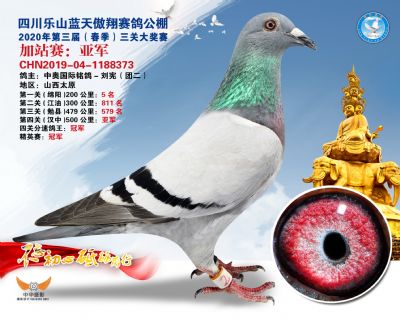 藍天傲翔加站賽亞軍