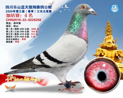 藍天傲翔加站賽4名