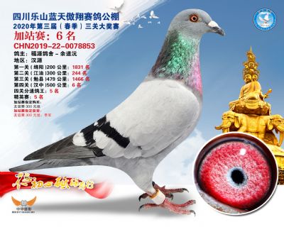 藍天傲翔加站賽6名