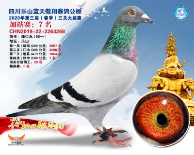藍天傲翔加站賽7名