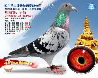 藍天傲翔加站賽8名