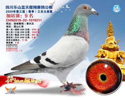 藍天傲翔加站賽9名