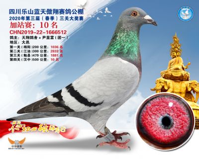 藍天傲翔加站賽10名
