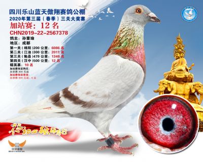 藍天傲翔加站賽12名
