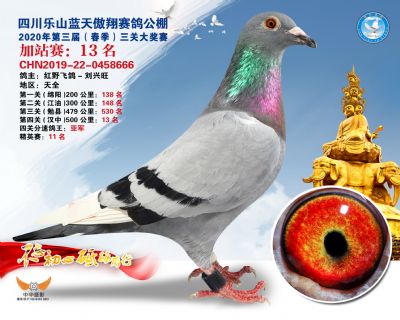 藍天傲翔加站賽13名