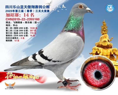 藍天傲翔加站賽14名