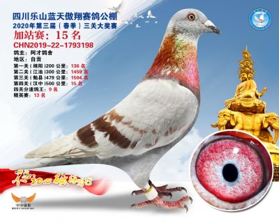 藍天傲翔加站賽15名