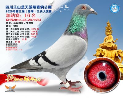 藍天傲翔加站賽16名