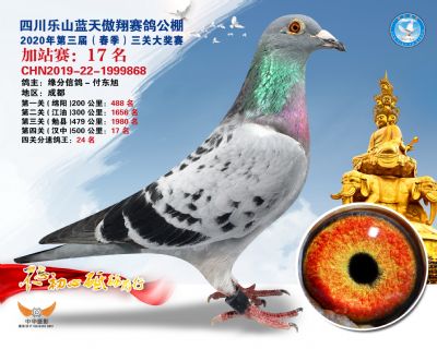藍天傲翔加站賽17名