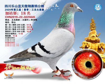 藍天傲翔加站賽18名
