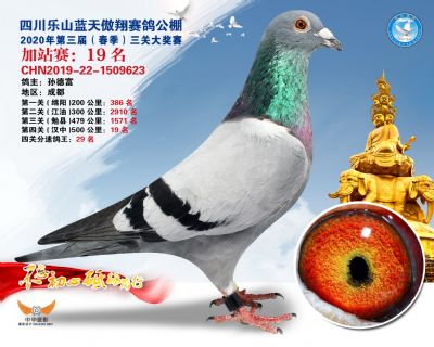 藍天傲翔加站賽19名
