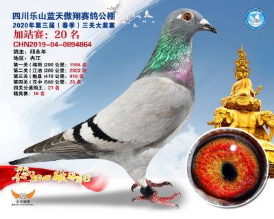 藍天傲翔加站賽20名