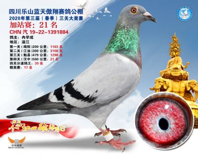 藍天傲翔加站賽21名