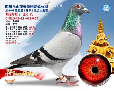 藍天傲翔加站賽23名