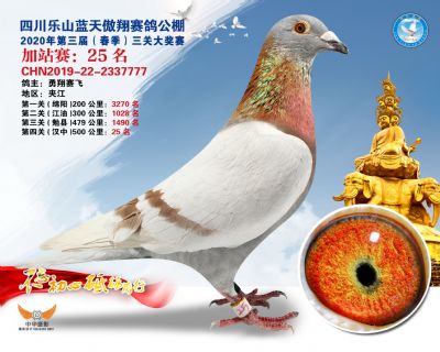 藍天傲翔加站賽25名
