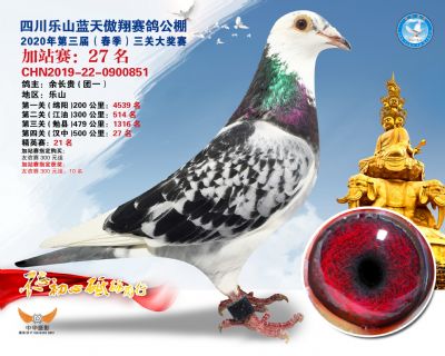 藍天傲翔加站賽27名