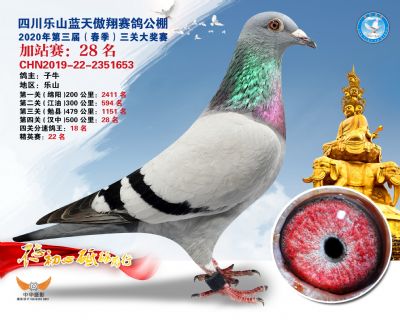藍天傲翔加站賽28名