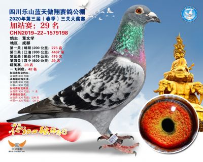 藍天傲翔加站賽29名