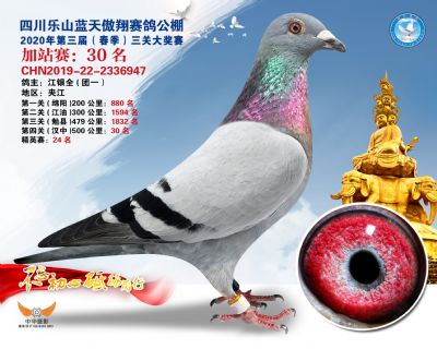 藍天傲翔加站賽30名