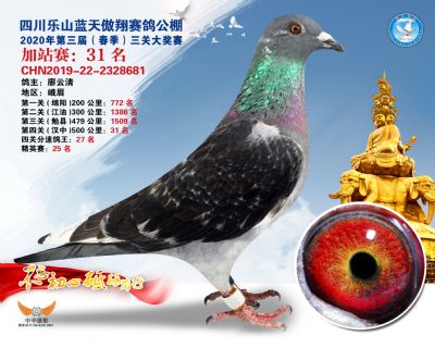 藍天傲翔加站賽31名