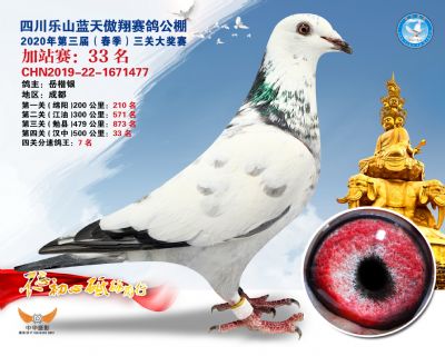 藍天傲翔加站賽33名