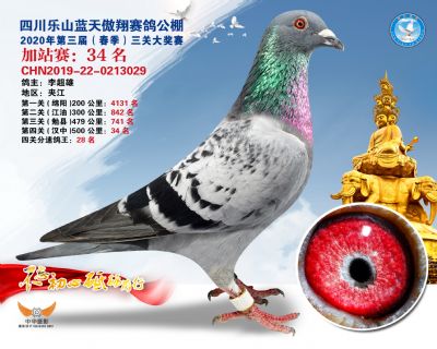 藍天傲翔加站賽34名