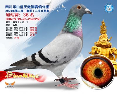 藍天傲翔加站賽36名