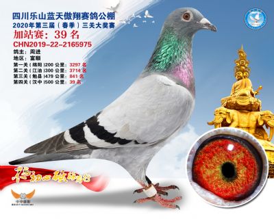 藍天傲翔加站賽39名