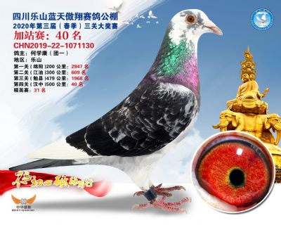 藍天傲翔加站賽40名