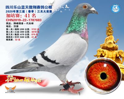 藍天傲翔加站賽41名