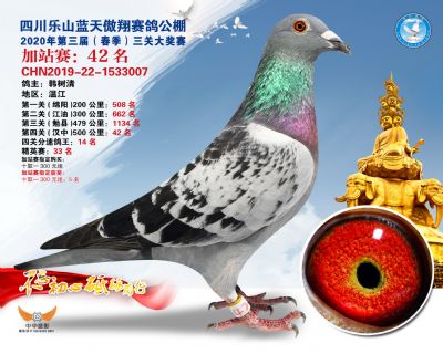 藍天傲翔加站賽42名
