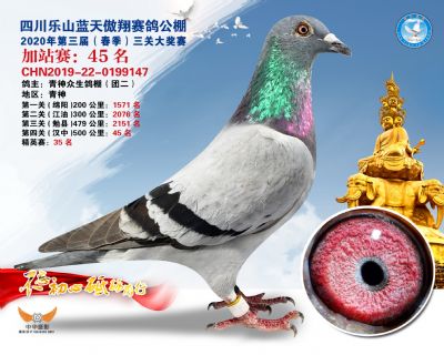 藍天傲翔加站賽45名