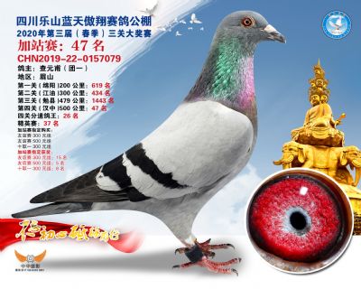 藍天傲翔加站賽47名