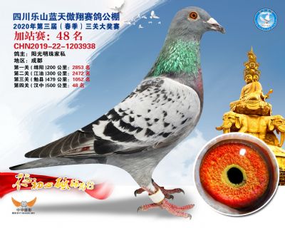 藍天傲翔加站賽48名